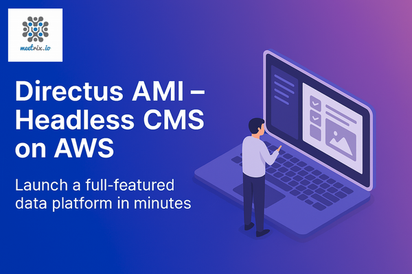 Deploy Directus on AWS with Meetrix -The Open-Source Headless CMS, Pre-Configured and Production-Ready