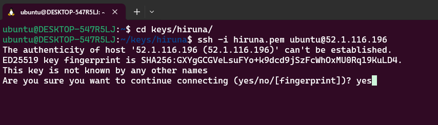 Logging into the DeepSeek server via SSH to check logs