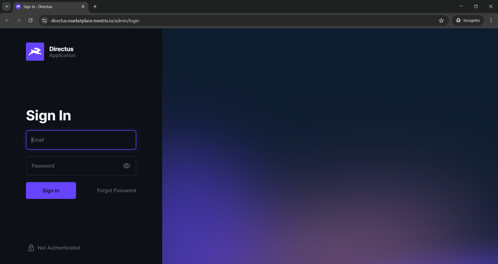 Directus login page