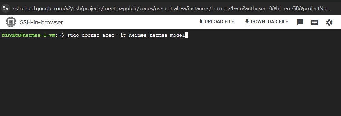SSH-in-browser terminal running sudo docker exec -it hermes hermes model to open the provider selection menu