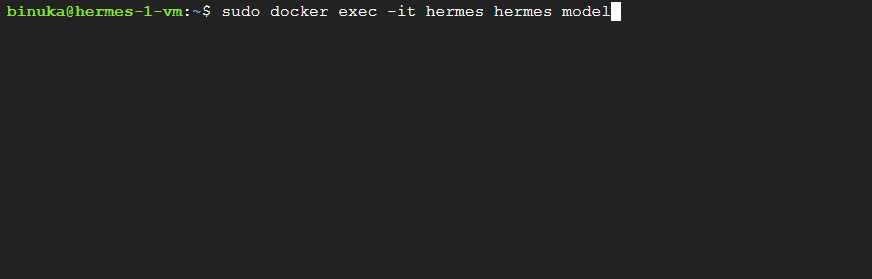 Terminal running sudo docker exec -it hermes hermes model to open the provider selection menu