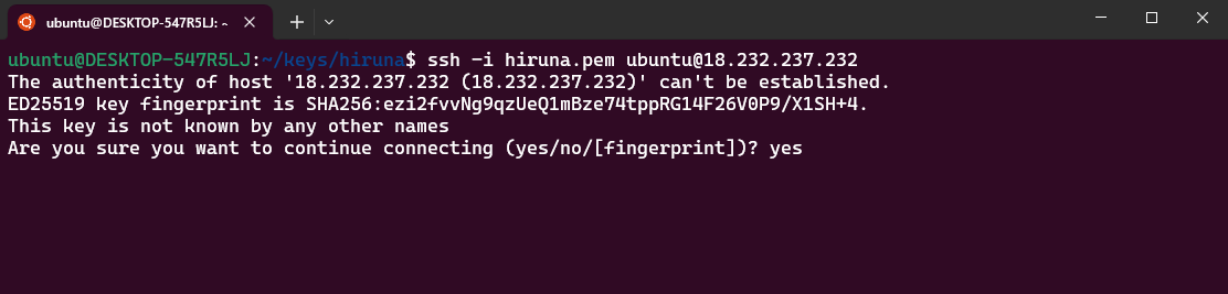 Terminal SSH session showing the host key fingerprint prompt for a second Hermes Agent instance before connecting