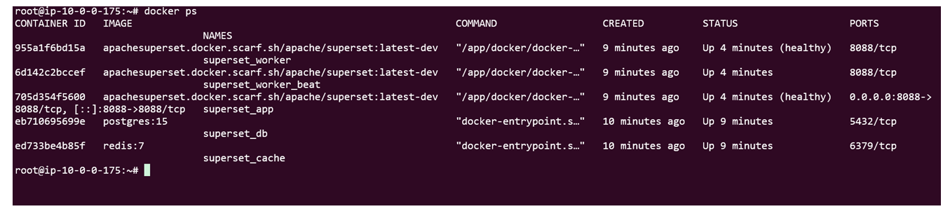 Checking Docker container status on the server