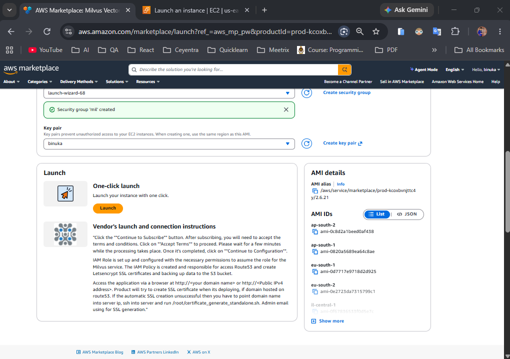 Security group created confirmation with key pair selection and the one-click Launch button