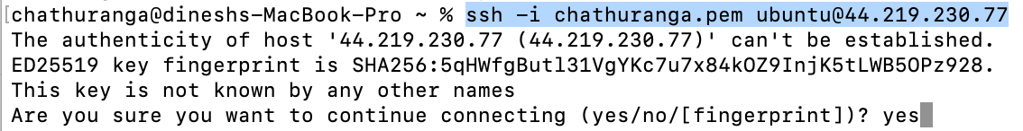 Logging into the Mistral server via SSH to check logs