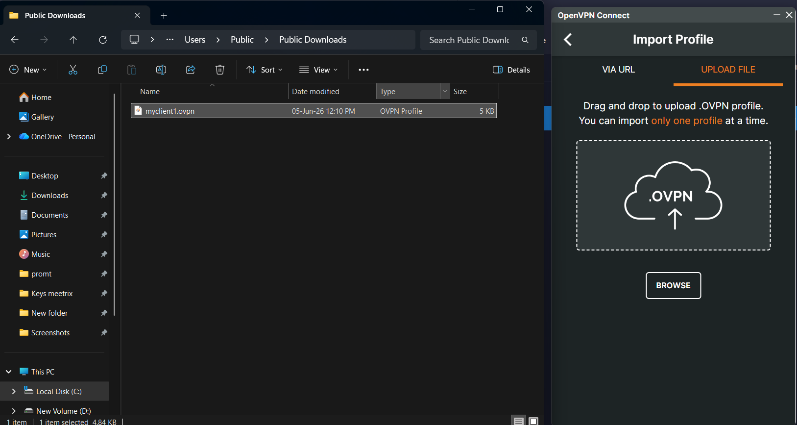 Importing the .ovpn profile into OpenVPN Connect