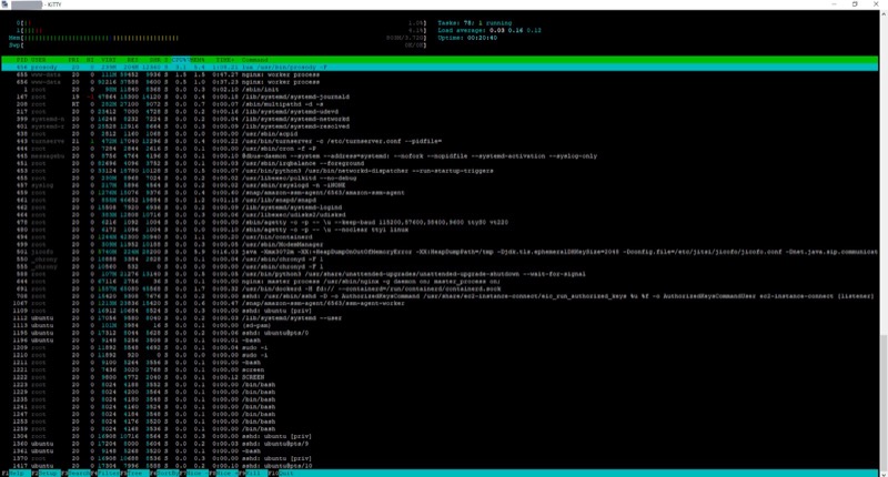 Exploración del límite de Jitsi Meet 03